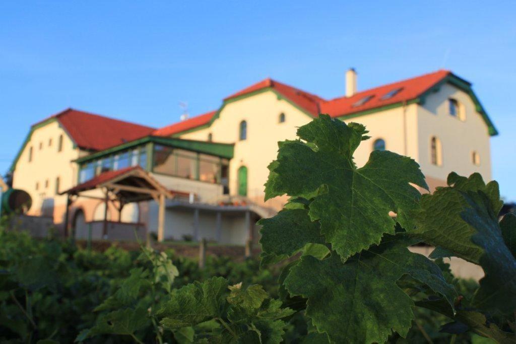 Hotel Vinohrad Milotice Buitenkant foto
