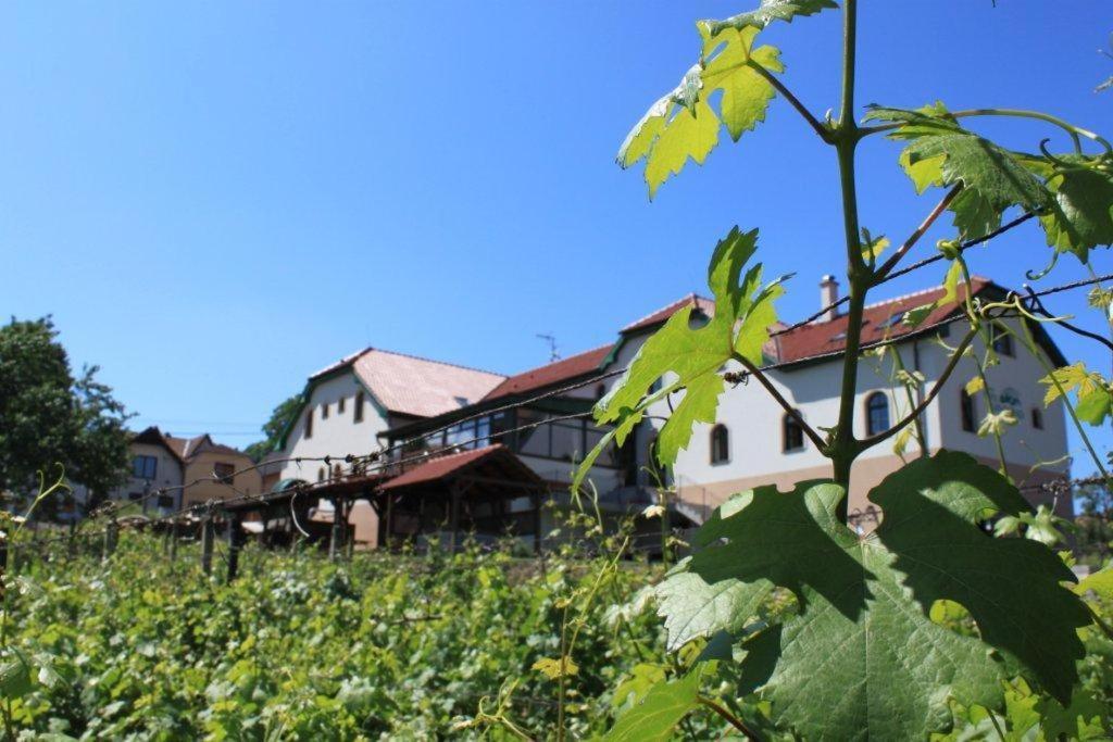 Hotel Vinohrad Milotice Buitenkant foto
